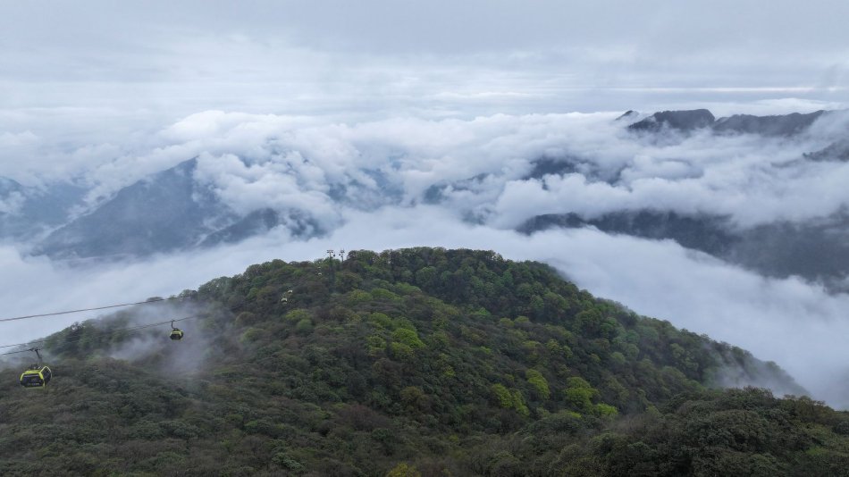 四川农村一级毛片