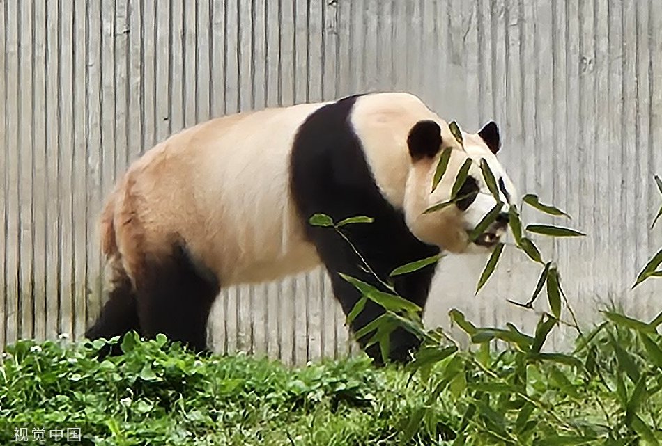 重 口 色情 网站