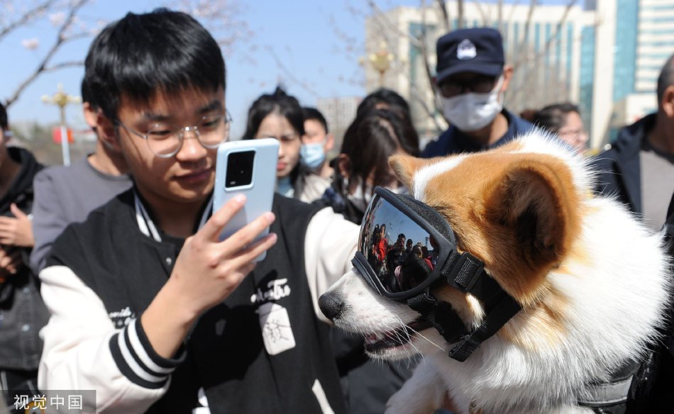 情侣 性爱 影片
