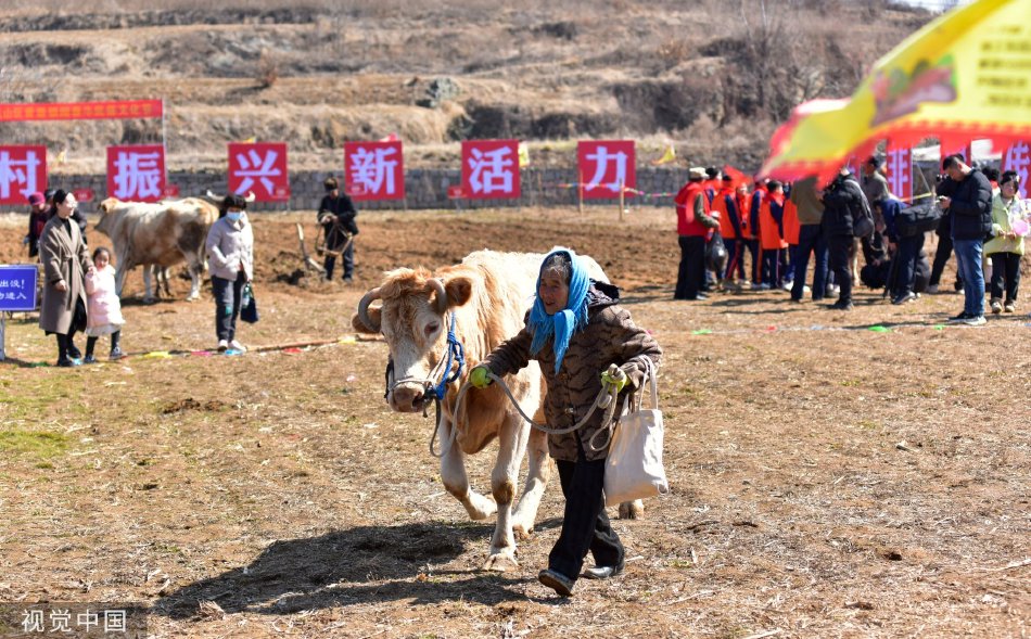 中国老妇毛耸耸