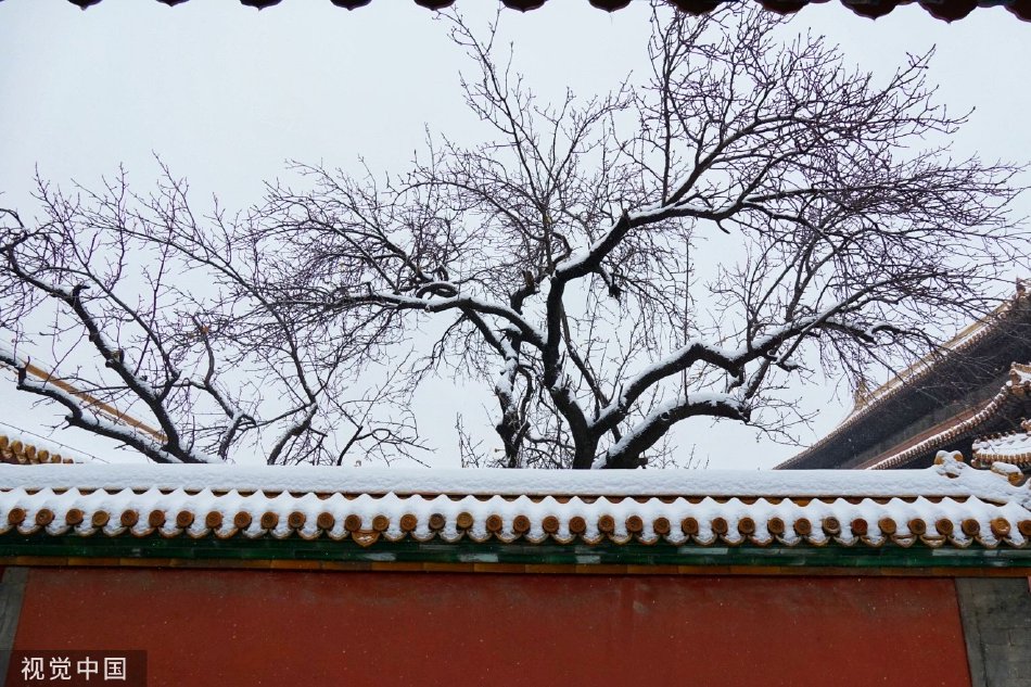 嫩草影院入口