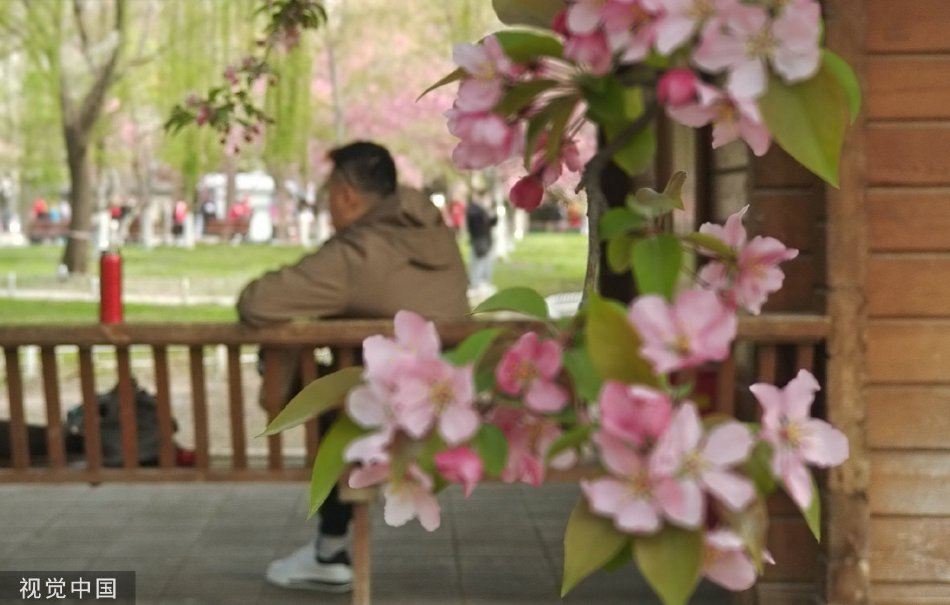 我和岳母视频色情