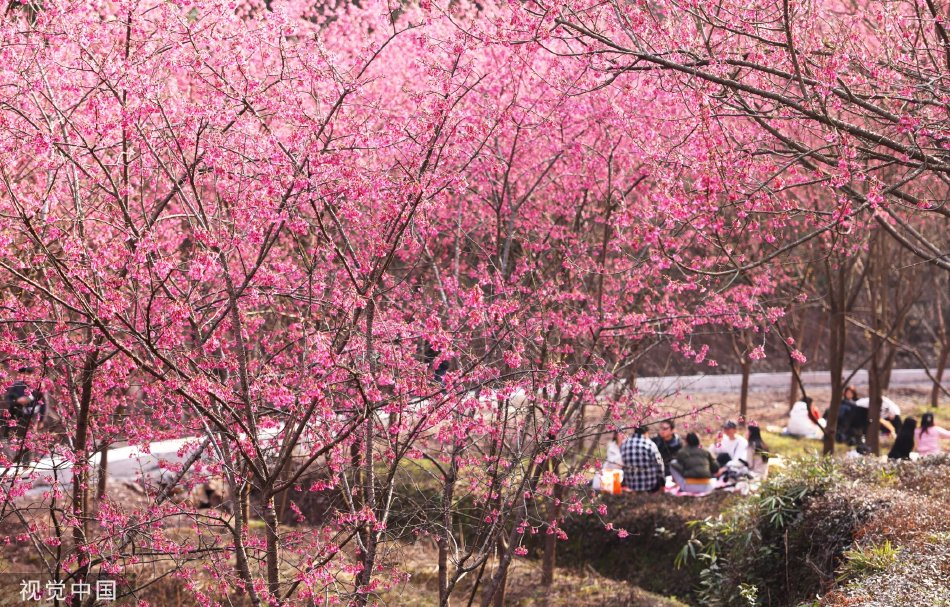 老师撩起裙子让我捅