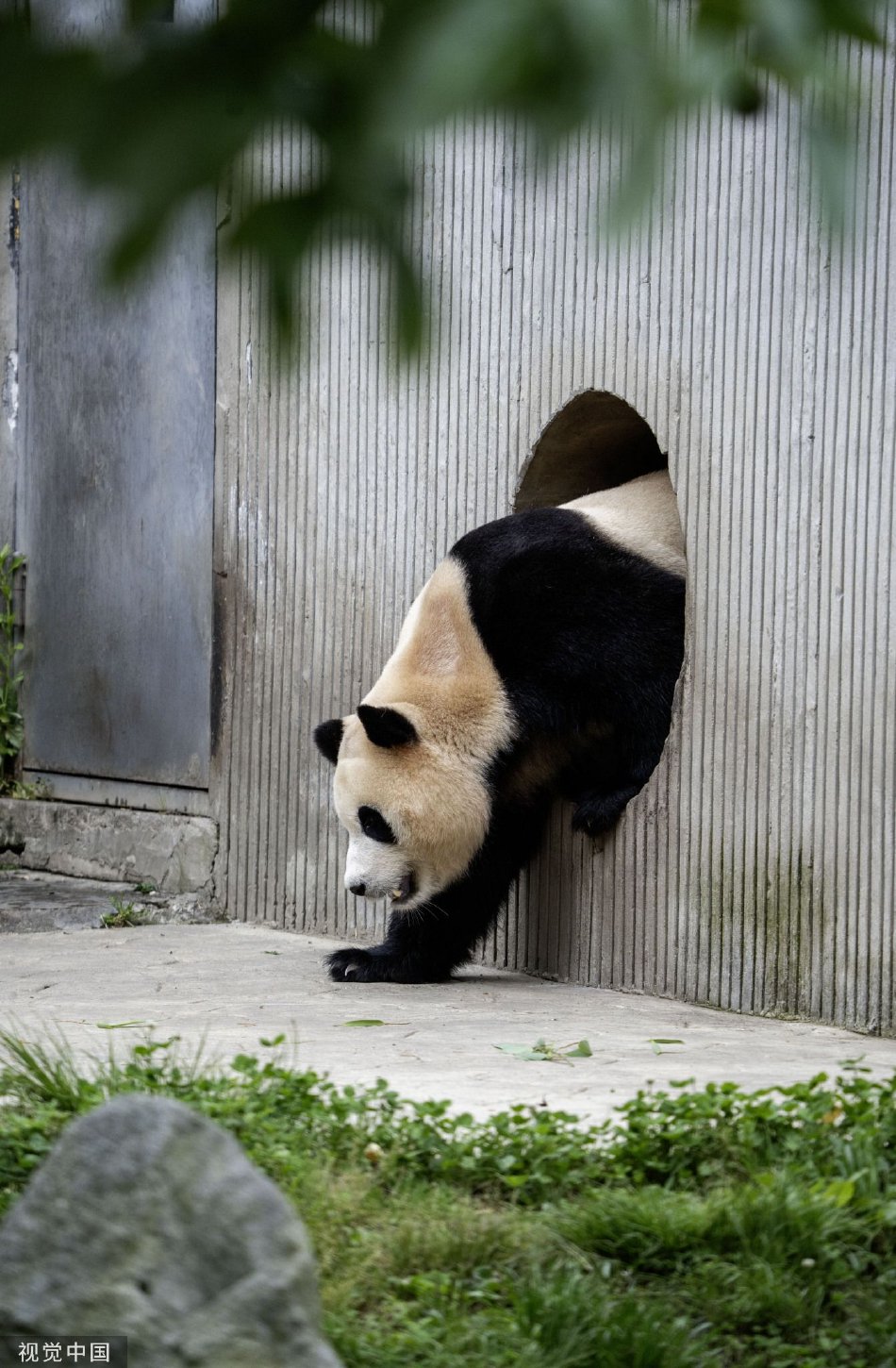 ′看免费黄色视频