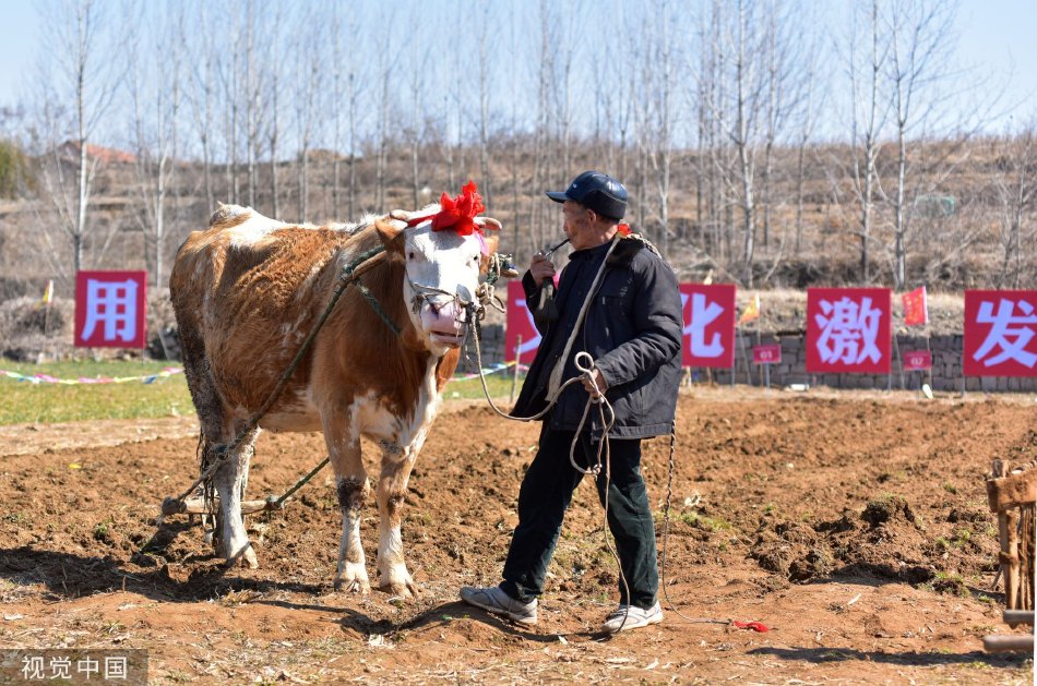 线 上 成人 影片