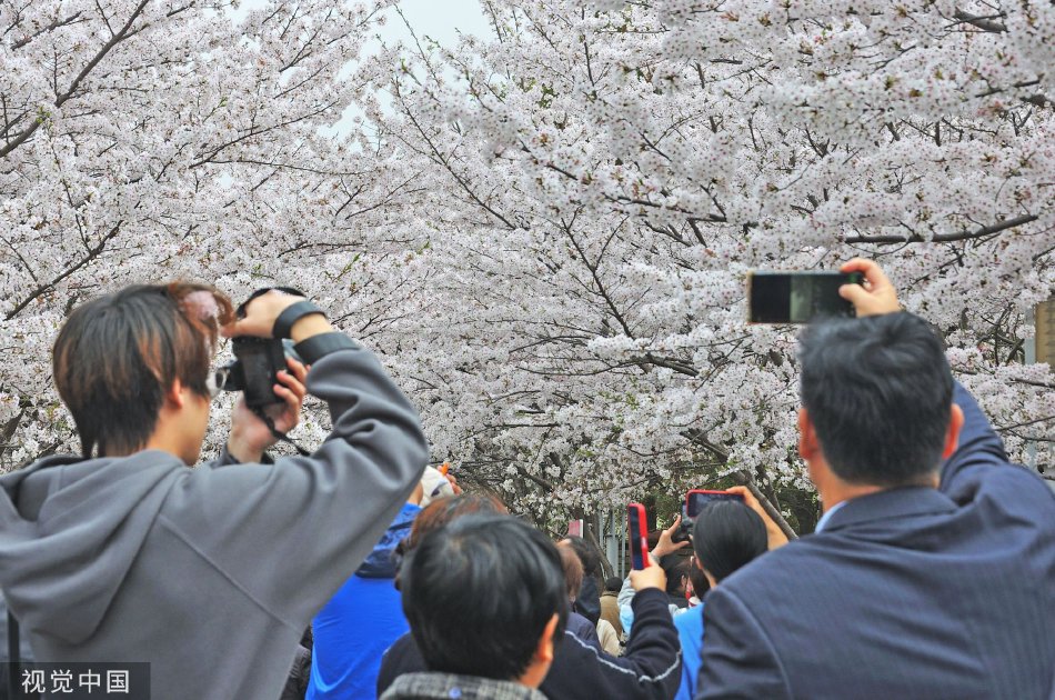 成年人免费黄色视频网战