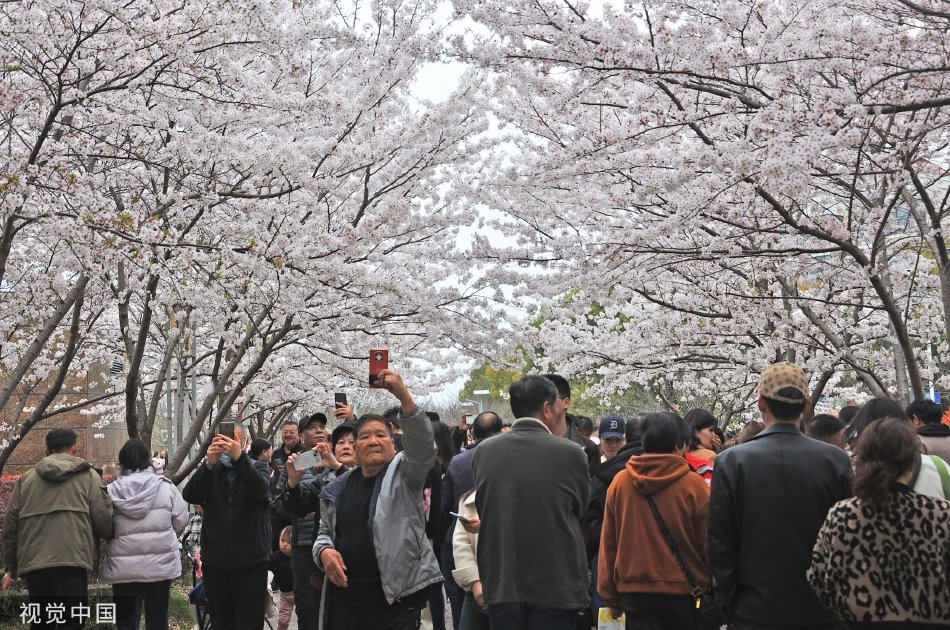 大陆 性爱