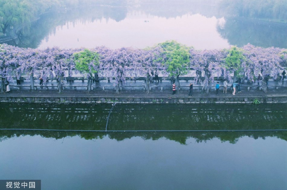 麻豆映画传媒