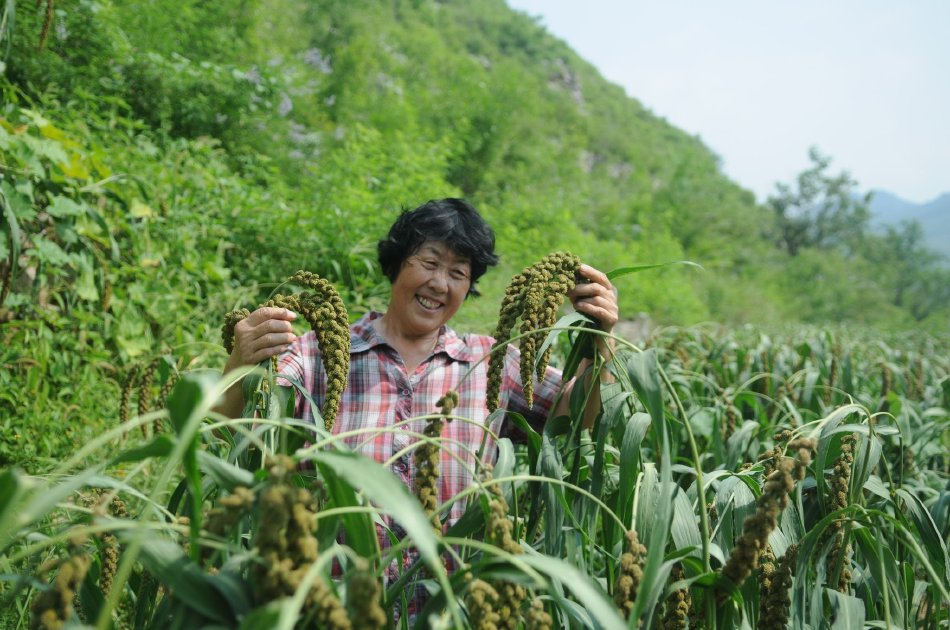 肛交教学