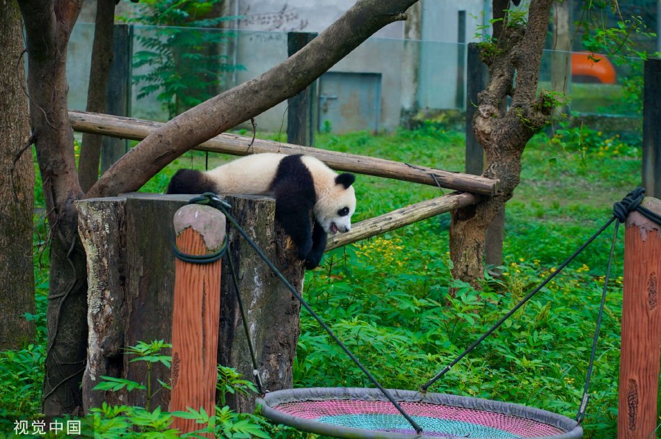 前凸後翹