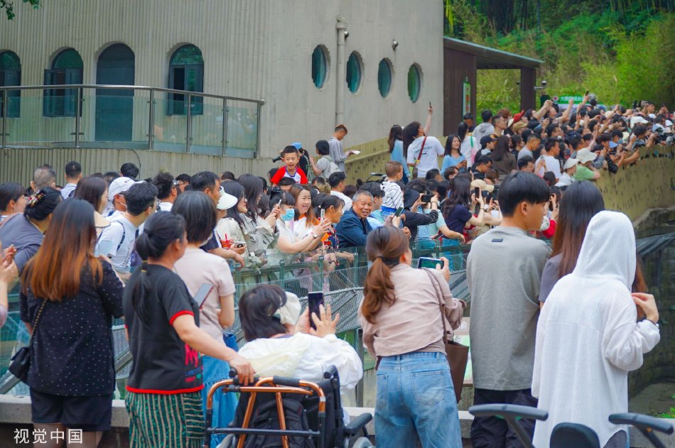 波多野结衣Av无码