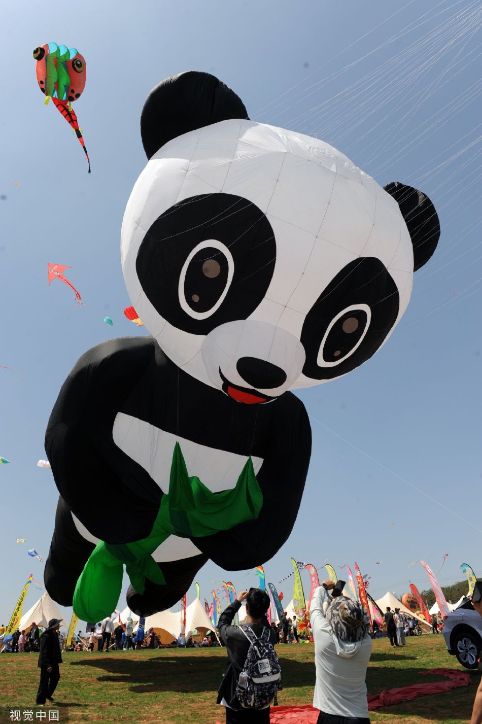 老师没戴套子c了我一天视频