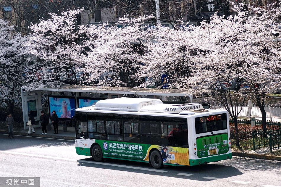 小泉日向