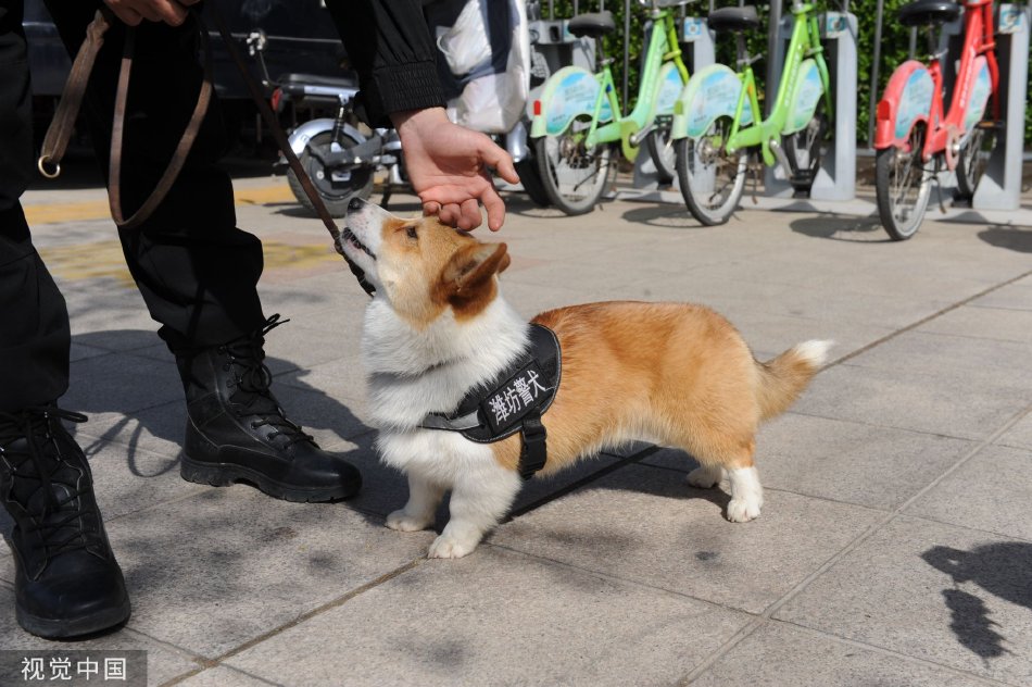 欧美乱伦网站