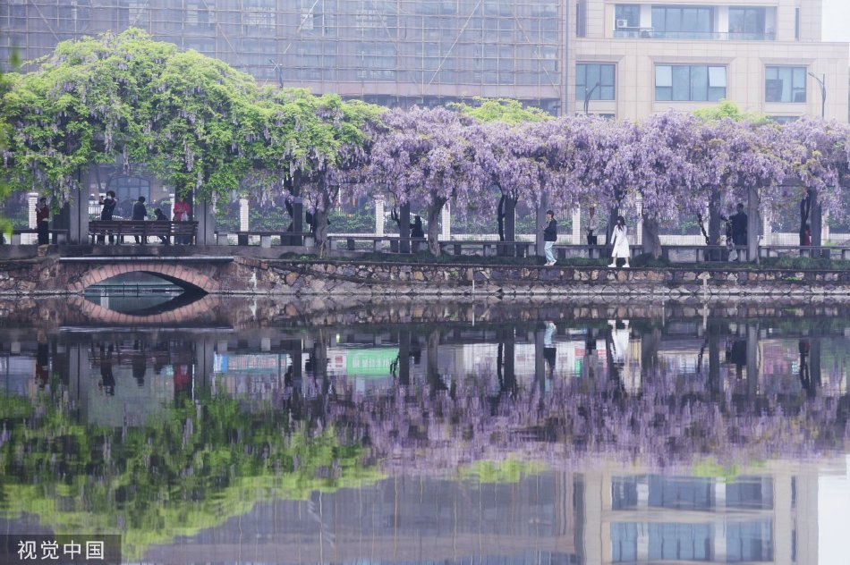 叶麗美