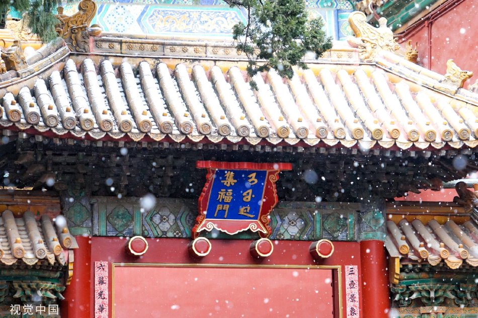 韩雪
