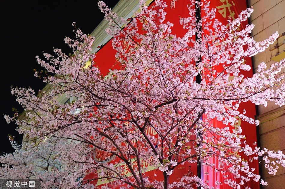 日韩高清一区二区