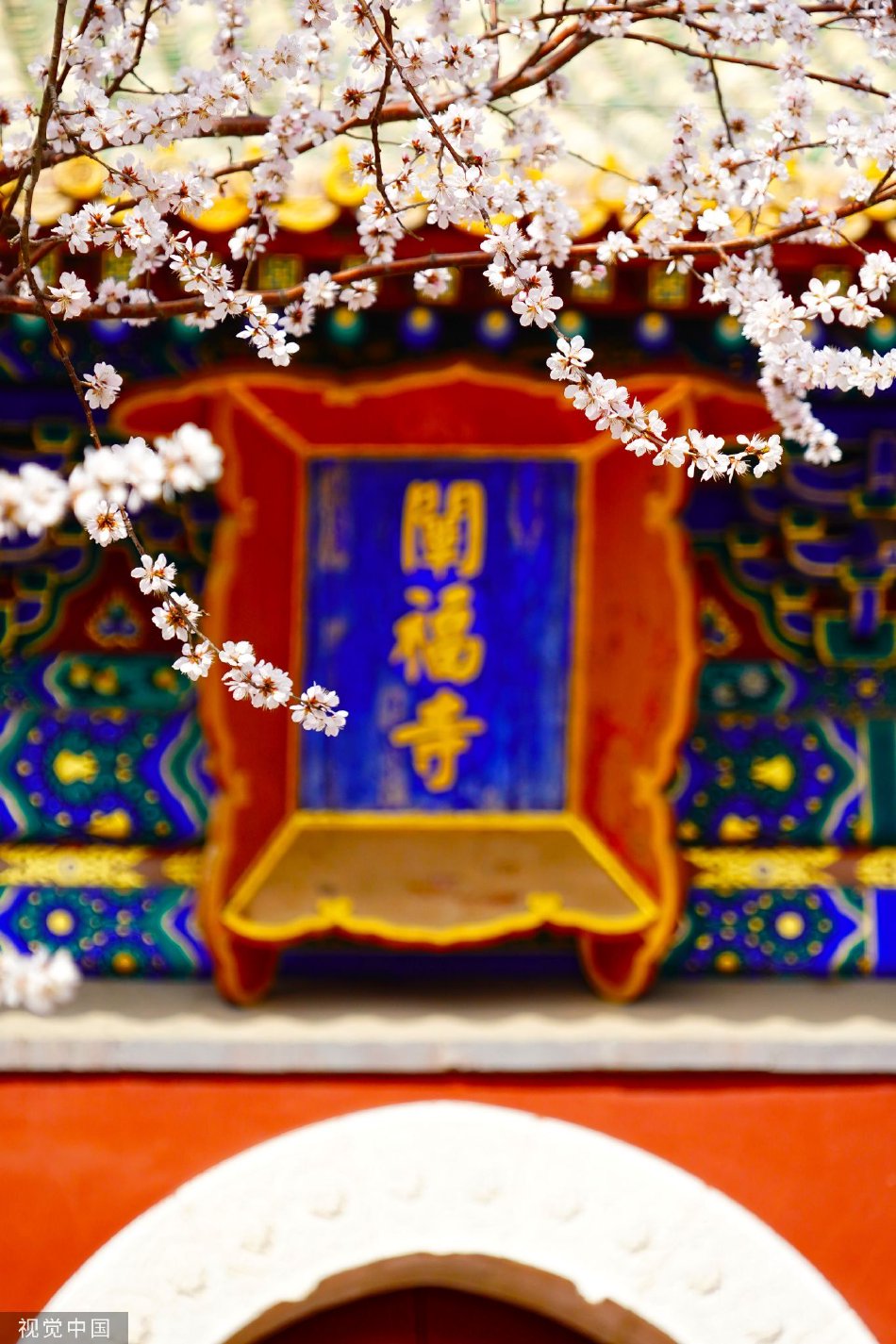 主播吴梦梦到粉丝家实战华中