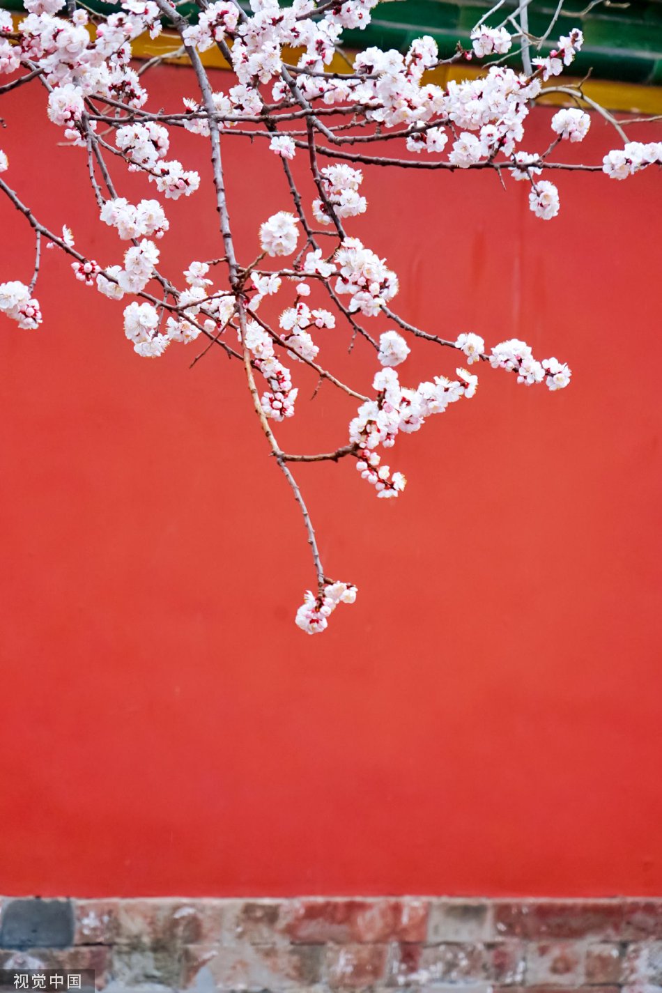 蝴蝶穴