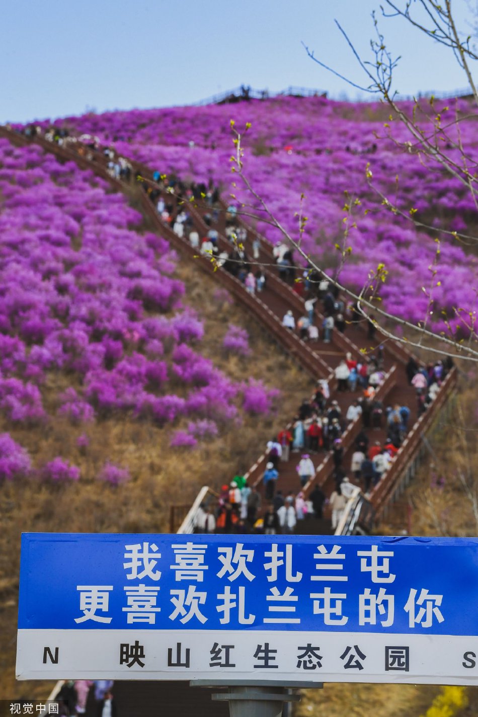 香港三极片野处