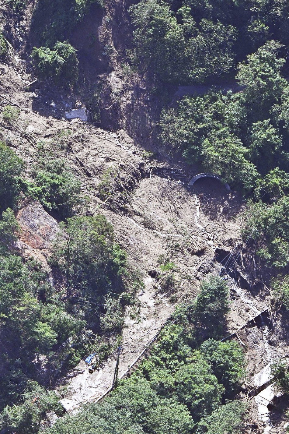 狂躁美女大BBBBBB4虎影院
