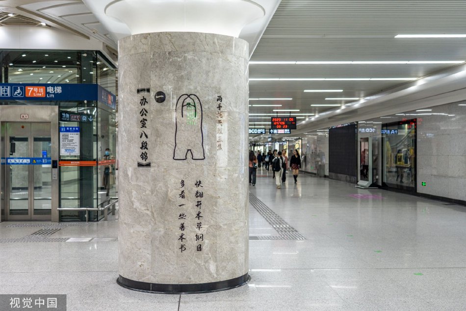 首爾大學校花