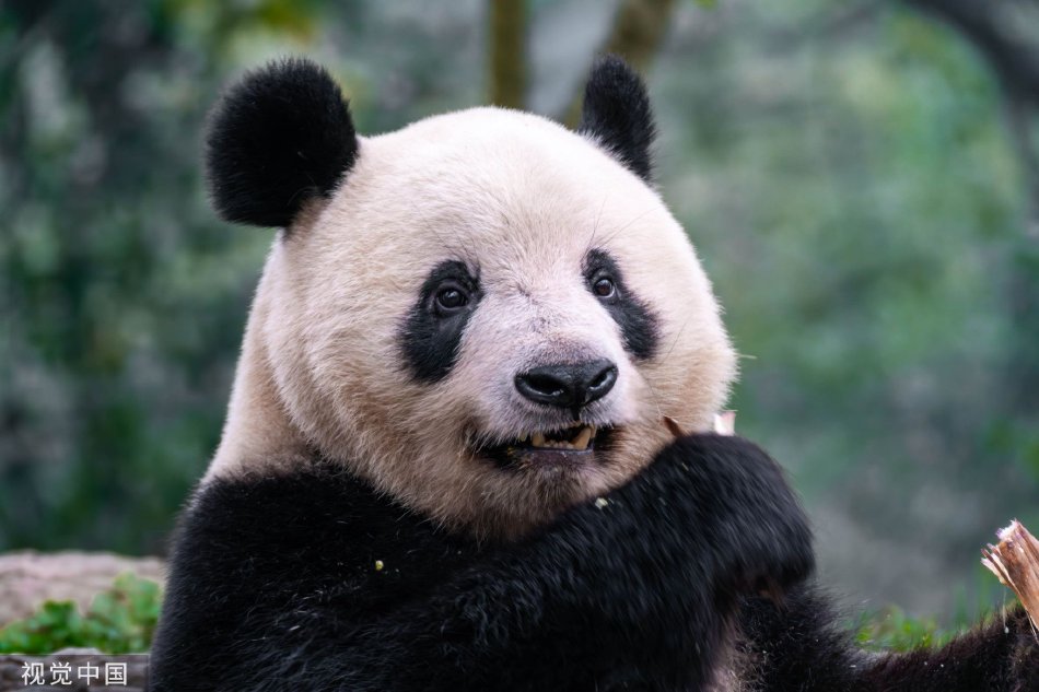 一级a性色生活片久久无