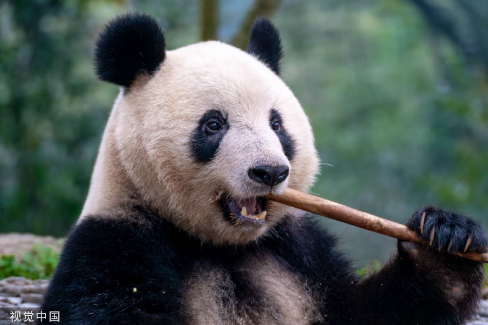 成人 情 色 电影