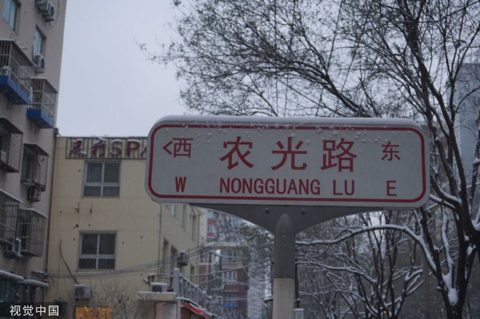 黄色 网站 目录