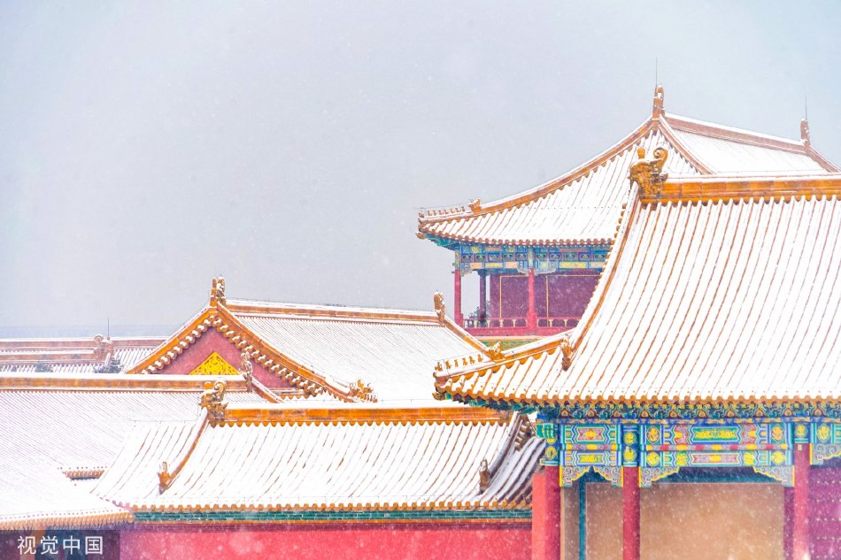 榴莲视频污