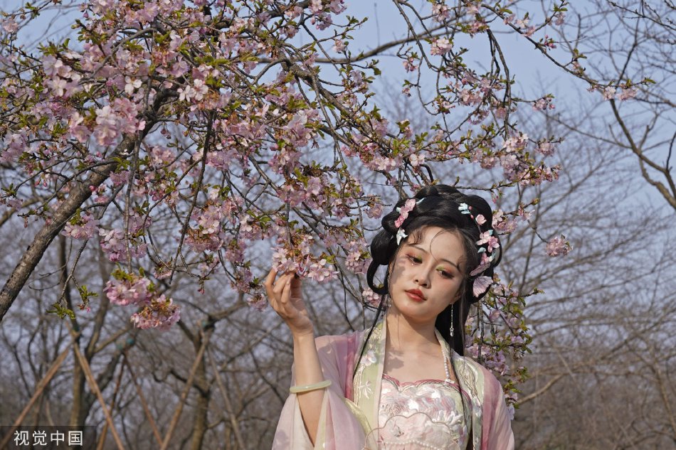 电车之狼游戏