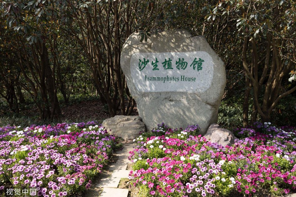 97人妻人人澡人人爽人人澡人人学生