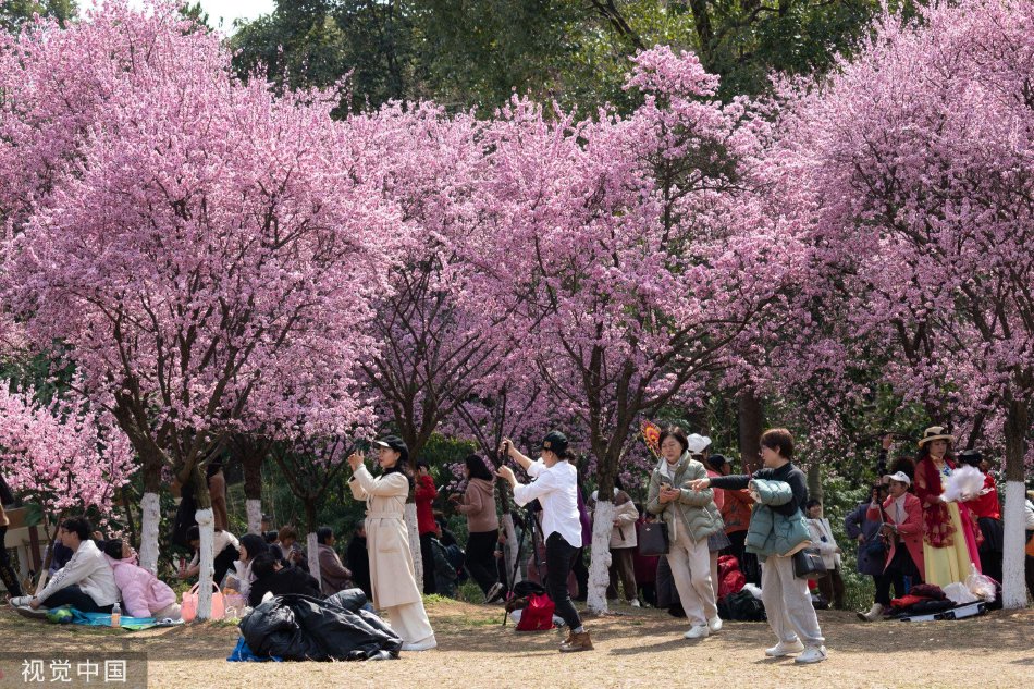 日韩怡红院