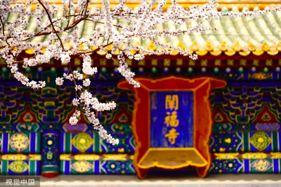 捅肌肌