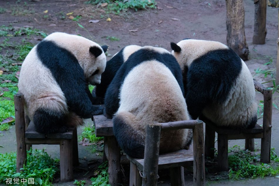 在线老师在学校稿中学生三级片