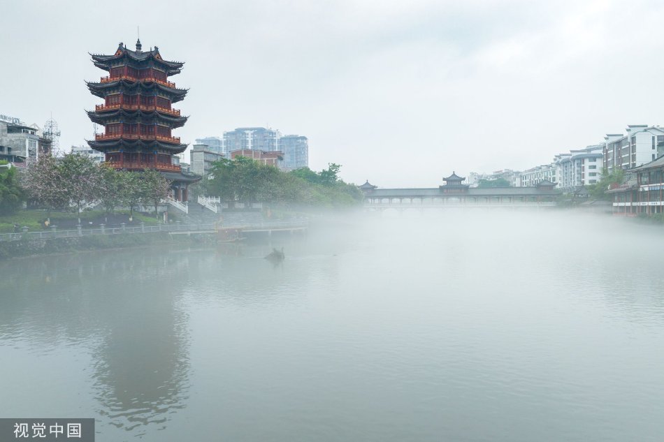欧州毛片