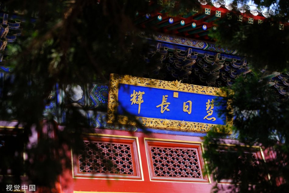 Freezeframe亚洲丰满老妇