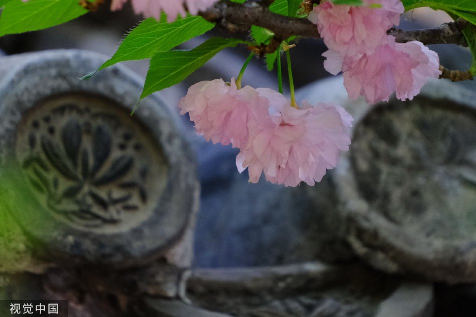 欧美乱伦家庭