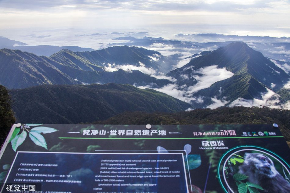 人妻湯恋旅行