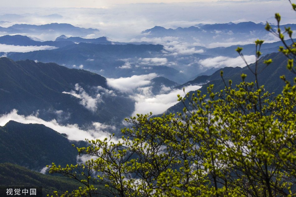 禁漫天堂