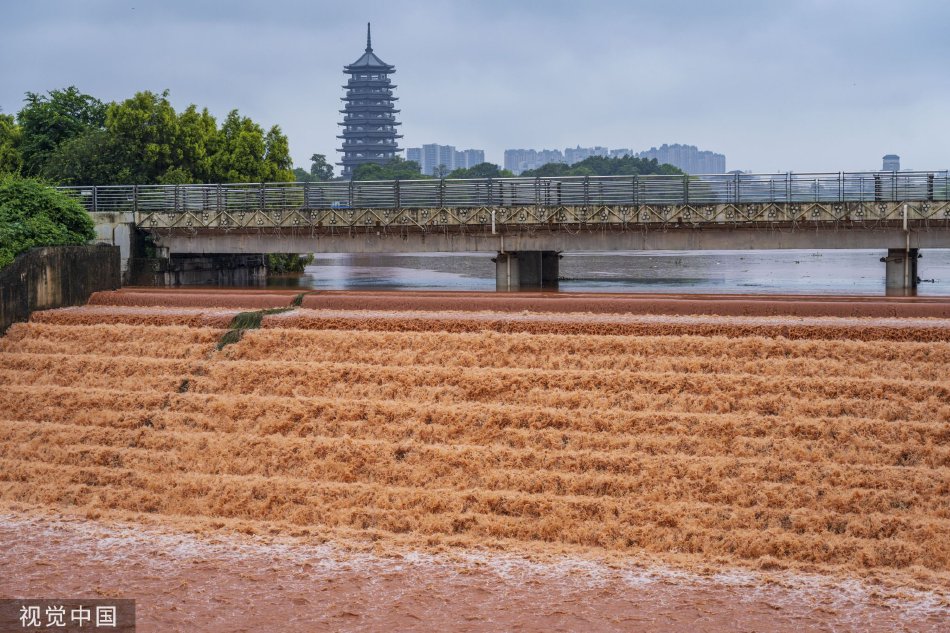 高潮性免费视频