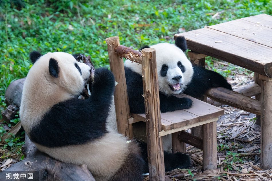 大地资源二3在线观看免费高清