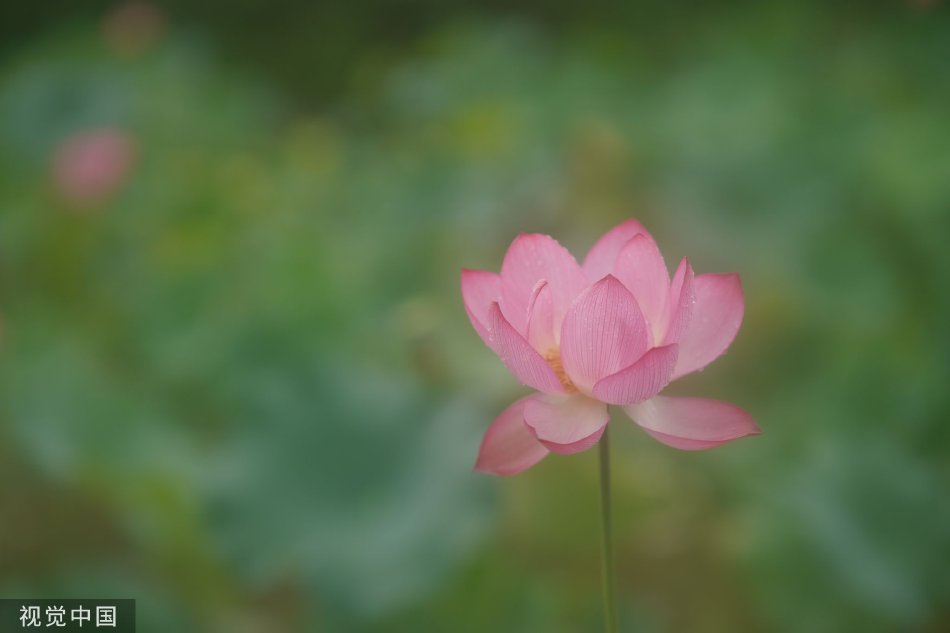 色情 视频 国产