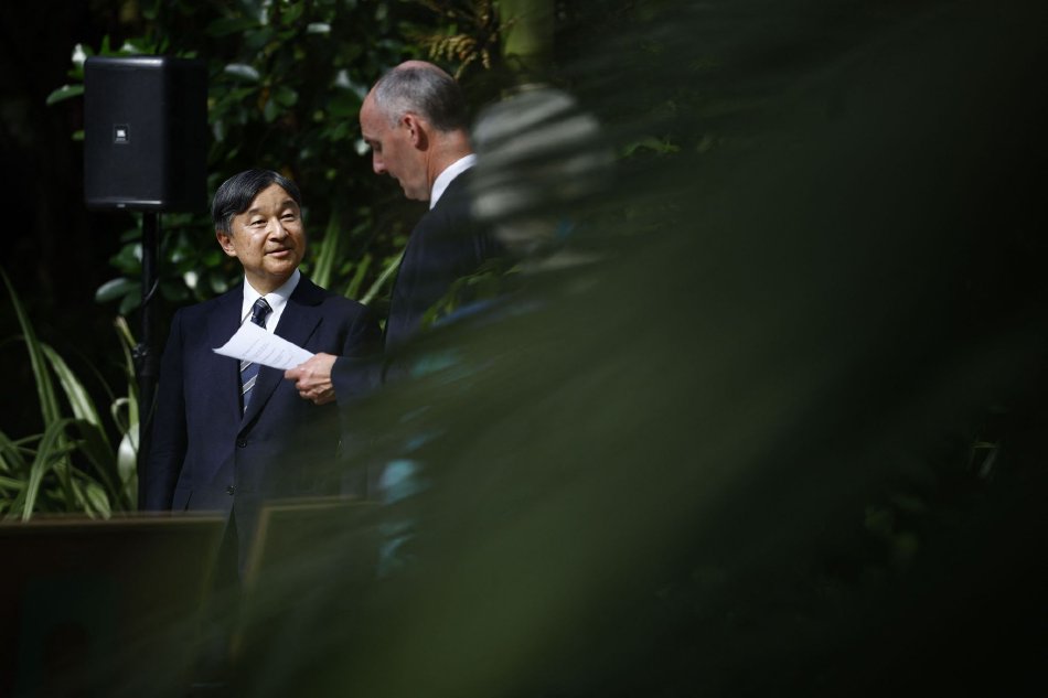 动漫护士被爆 挤奶com