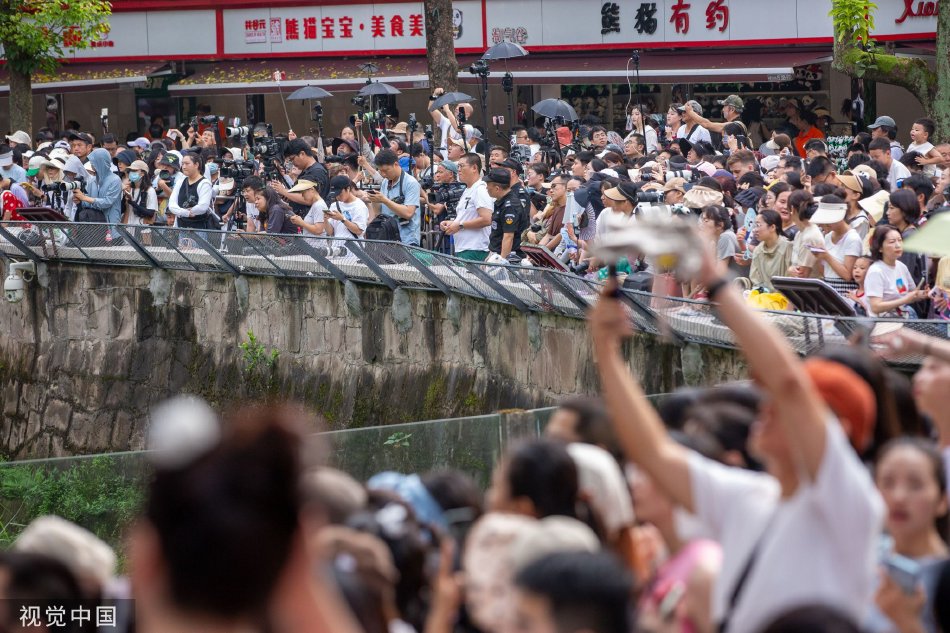 国外 成人 视频 网站
