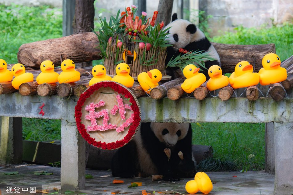 欧美人与禽zOzzZ2OZZ