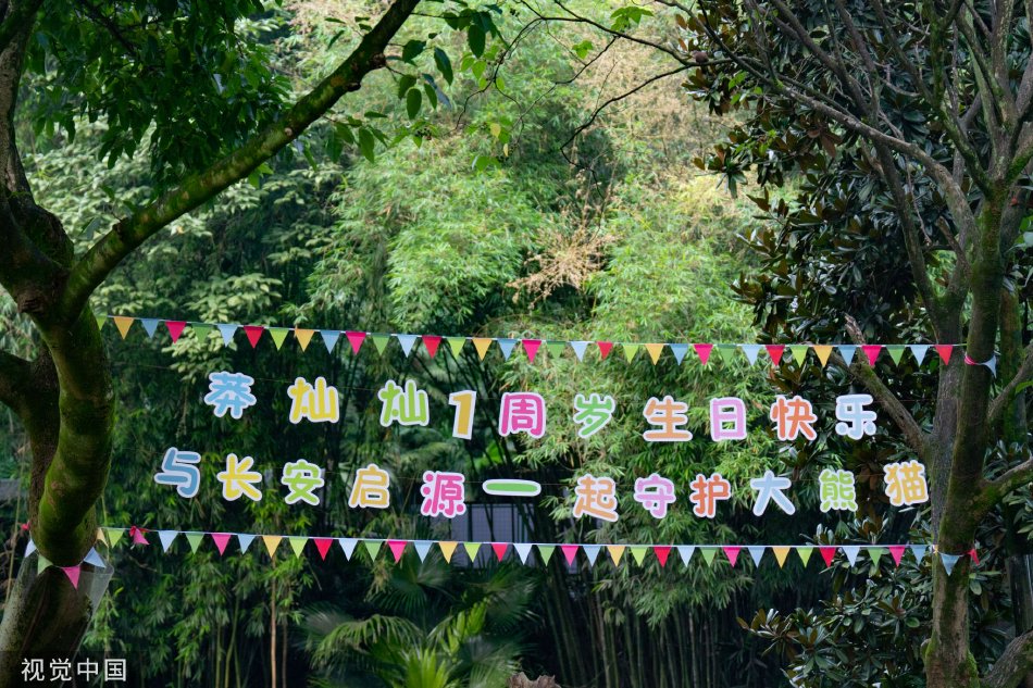 性爱巴士2