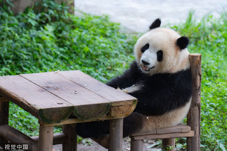 成人 片 线 上 看