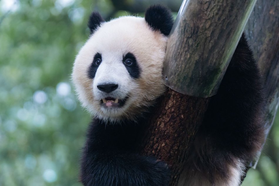 伊人网在线观看