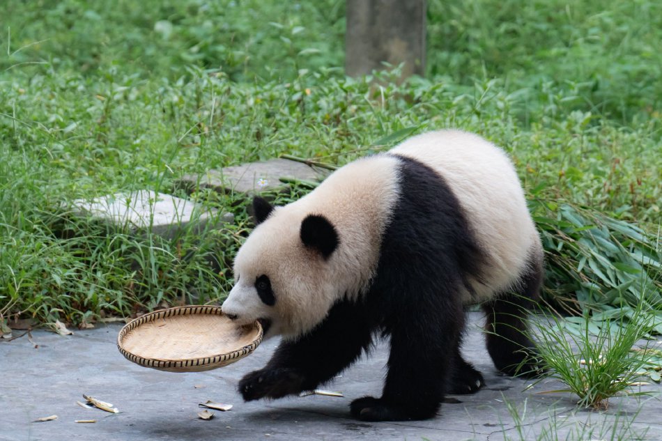 李曼筠